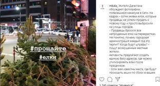 Пользователей Instagram возмутили брошенные на улицах в Дагестане новогодние ели