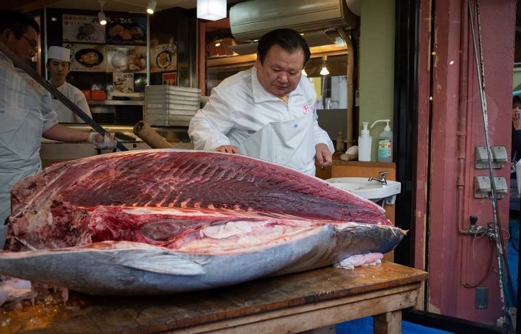 Голубой тунец ушёл с молотка за $1,8 млн на аукционе в Японии