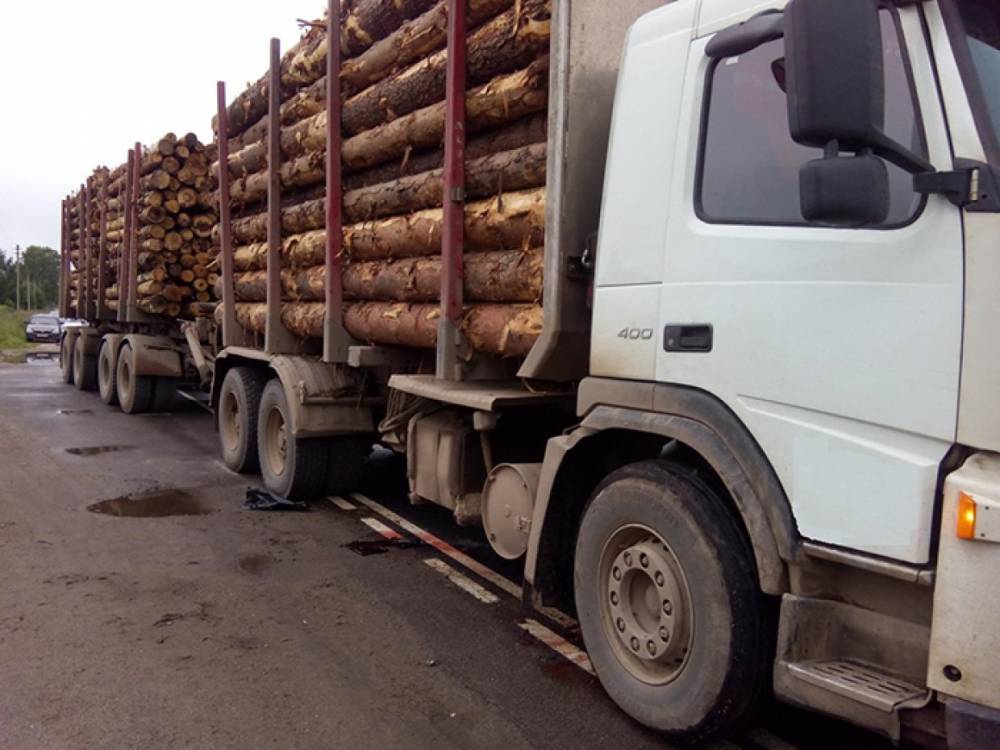 В Пряжинском районе груженый лесовоз сбил три машины