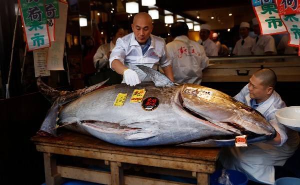 На аукционе в Японии продали тунца за 1 млн 800 тысяч долларов