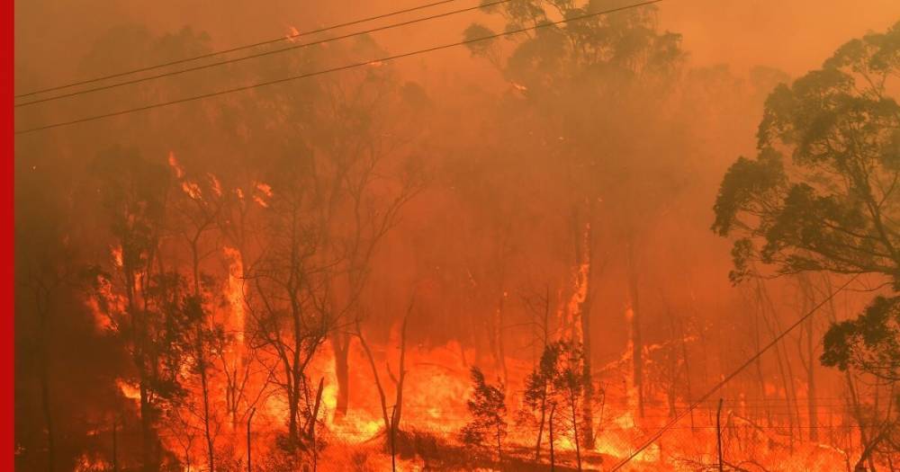 Жители Австралии делятся фотографиями ужасающих лесных пожаров