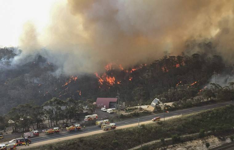 Пострадавшей от пожаров Австралии собрали 25 млн австралийских долларов