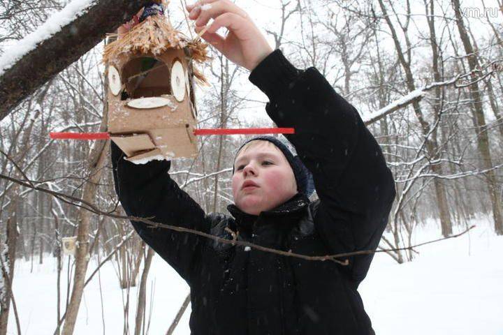Москвичей позвали на акцию «Покорми птиц зимой»