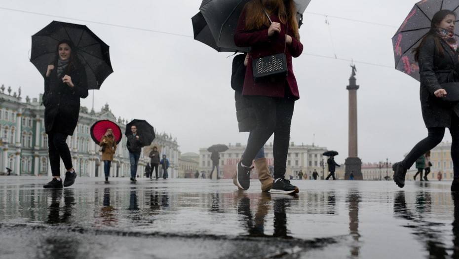 МЧС Петербурга предупредило о штормовом ветре 6 января