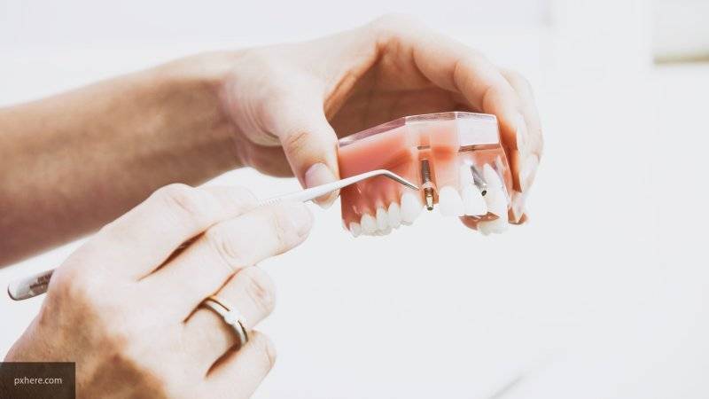 Российские ученые изобрели уникальные зубные протезы для людей и собак