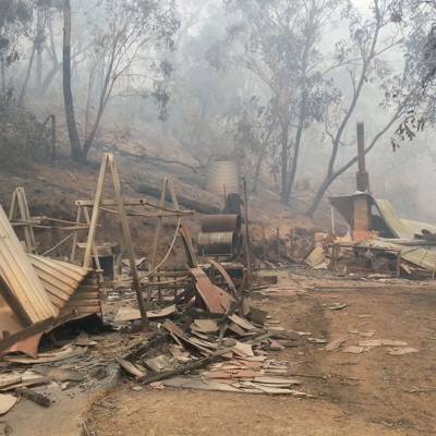 В столице Австралии из-за дыма от лесных пожаров закрыты детские сады и госучреждения