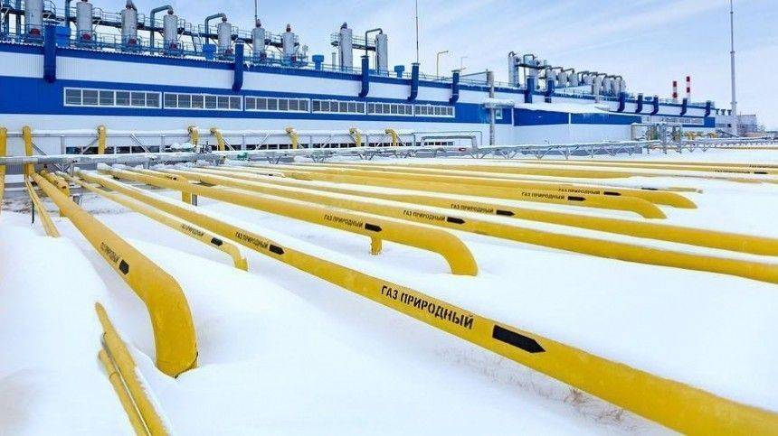Белоруссия намерена отказаться от оплаты российского газа в долларах