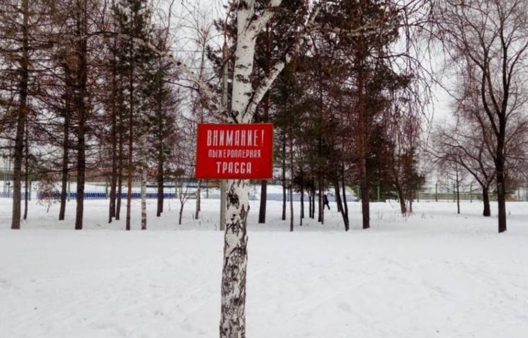 Омский парк готов выплатить семье погибшей женщины компенсацию
