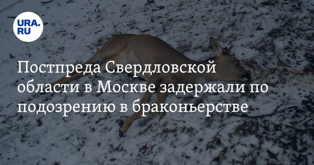 Постпреда Свердловской области в Москве задержали по подозрению в браконьерстве