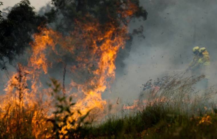 Дым от австралийских пожаров накрыл Южную Америку