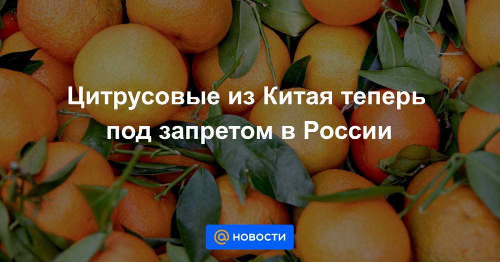 Цитрусовые из Китая теперь под запретом в России