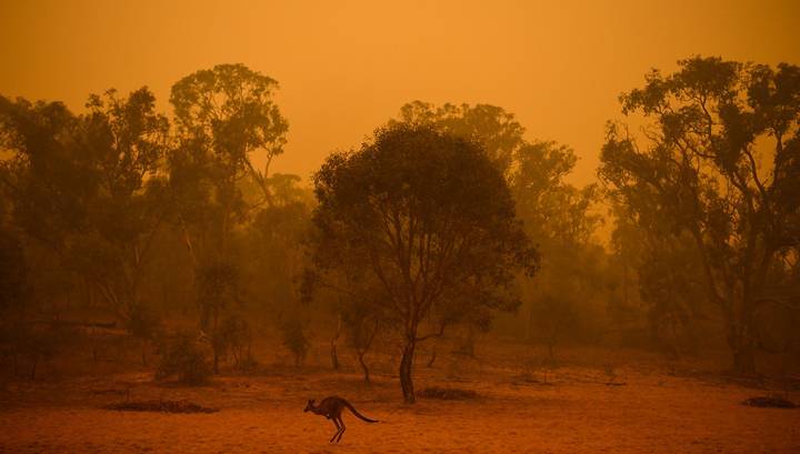 Дым от австралийских лесных пожаров уже достиг стран Латинской Америки