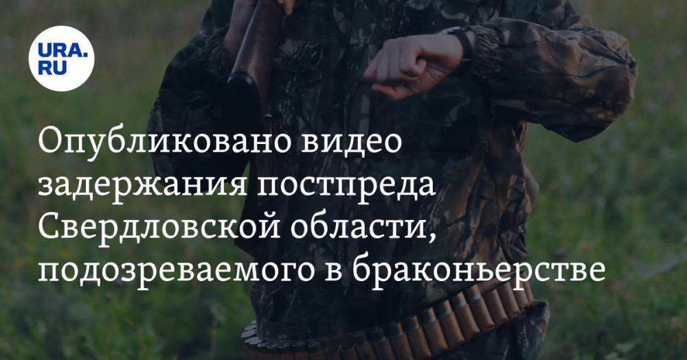 Опубликовано видео задержания постпреда Свердловской области, подозреваемого в браконьерстве