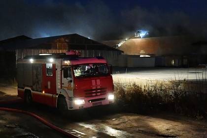 Три ребенка погибли в результате пожара под Ярославлем