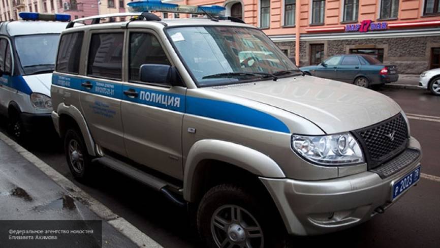 В Петербурге няня похитила 5-летнюю девочку и сбежала