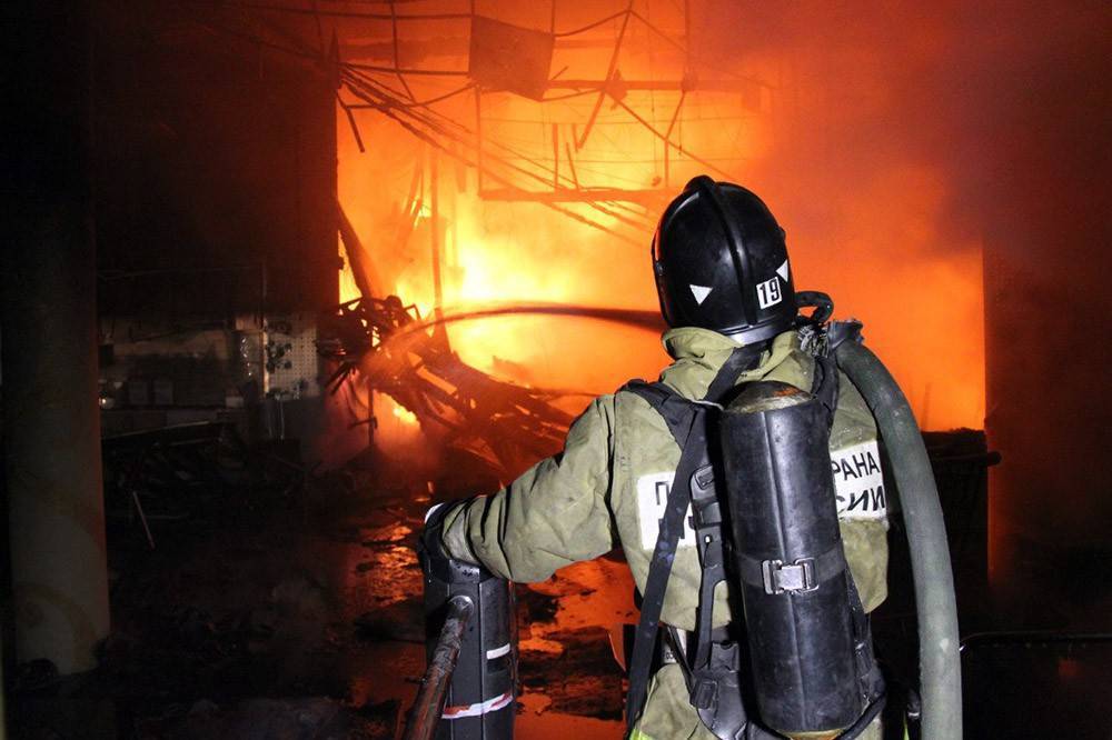 В Раменском районе заживо сгорели рабочие тепличного комплекса