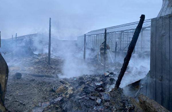 Число погибших при пожаре в бытовках в Подмосковье увеличилось до шести