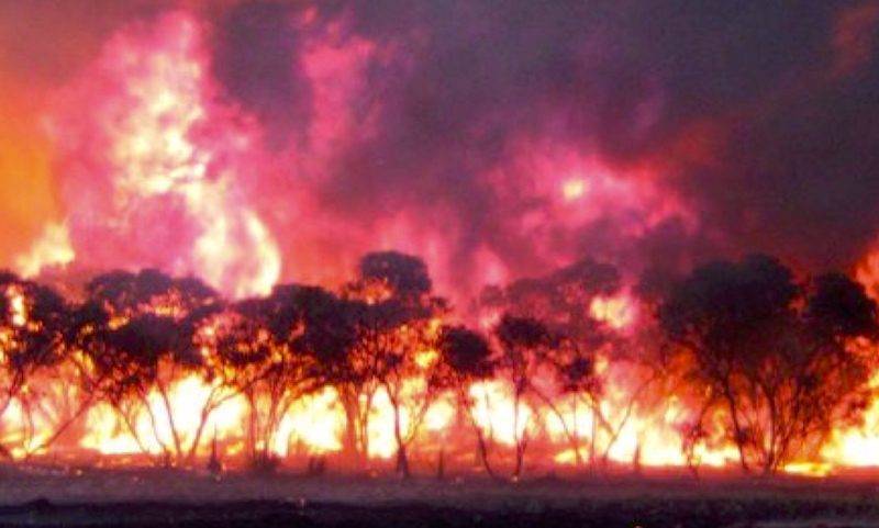 В кромешном аду: видео работы пилотов на пожарах опубликовали ВВС Австралии