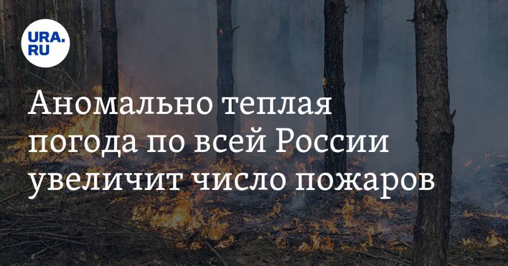 Аномально теплая погода по всей России увеличит число пожаров