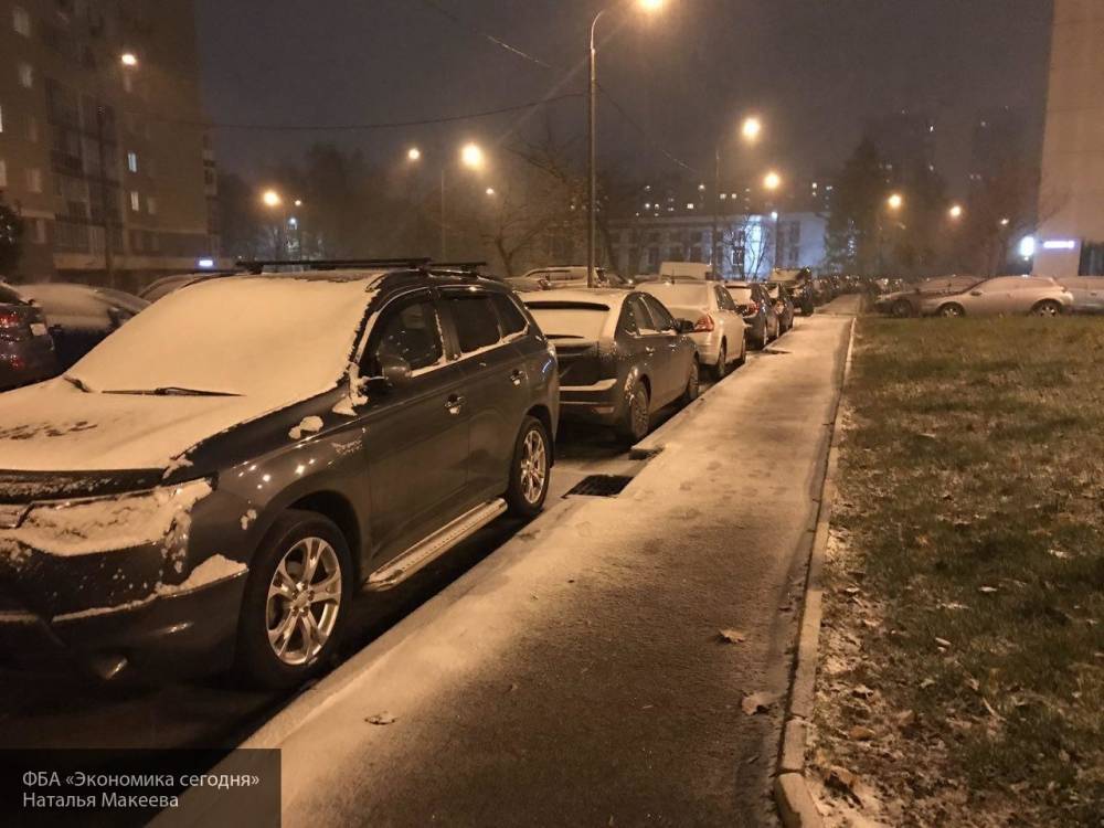 Синоптики пообещали москвичам небольшой снег и нулевую температуру в течение недели