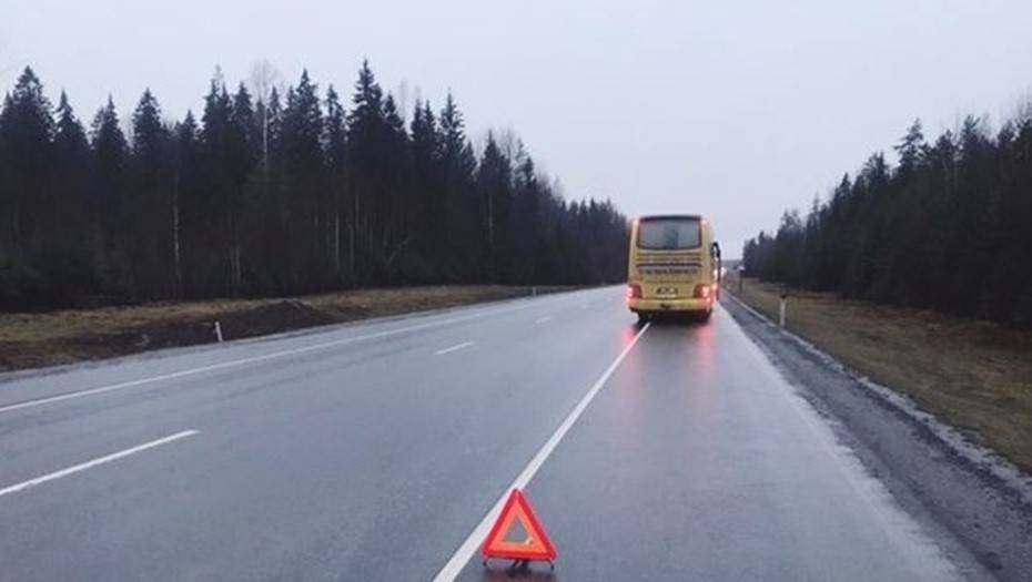 Автобус Петербург-Хельсинки насмерть сбил пешехода на трассе "Скандинавия"