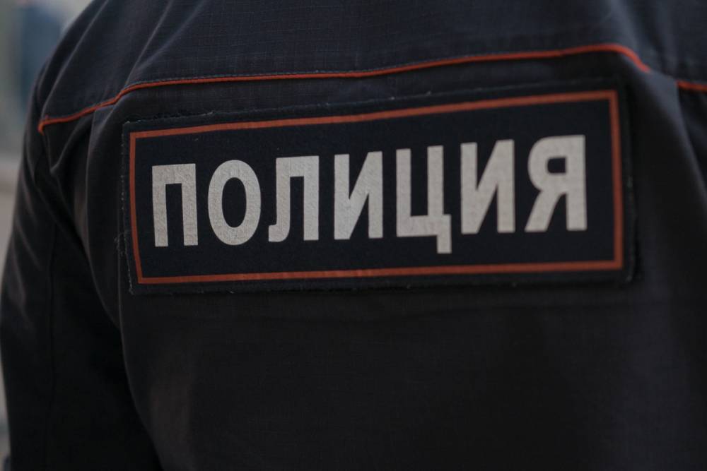 В Петербурге полицейские нашли ребенка, которого украла няня