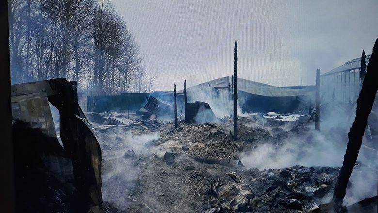 В МЧС пока не знают, граждане каких стран сгорели в деревне Нестерово