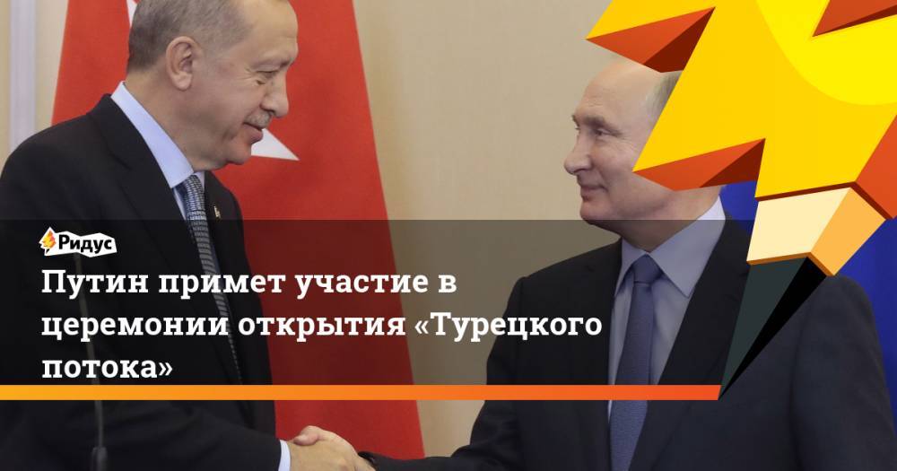 Путин примет участие в церемонии открытия «Турецкого потока»