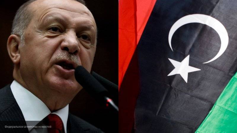 Турция потеряет престиж в арабском мире после вмешательства в дела Ливии — Шаповалов