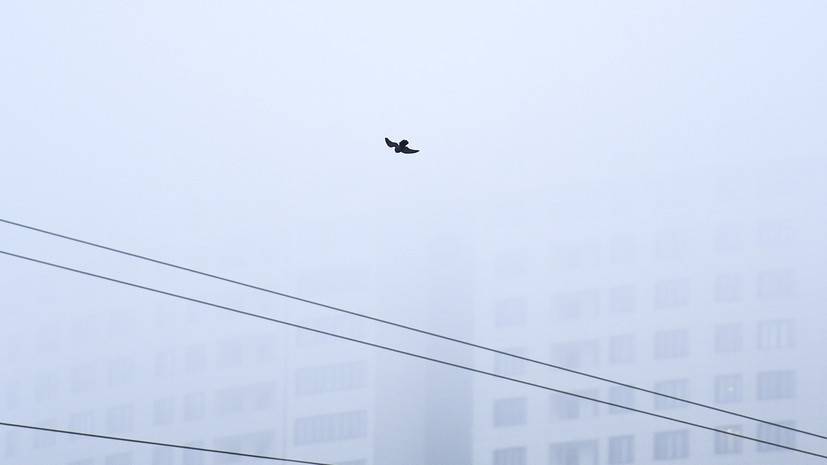 Спасатели предупредили о тумане в Татарстане