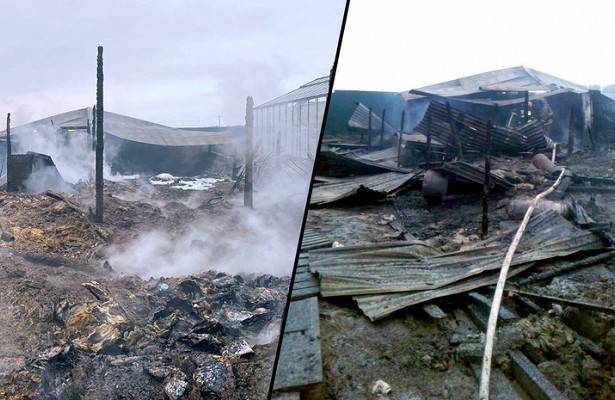 Число погибших в результате пожара в бытовках в Подмосковье достигло восьми человек