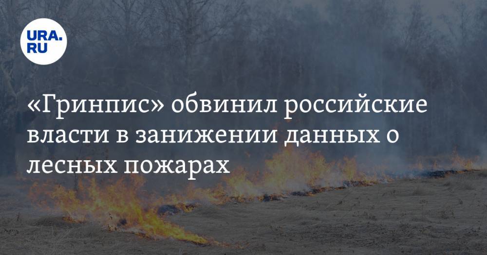 «Гринпис» обвинил российские власти в занижении данных о лесных пожарах