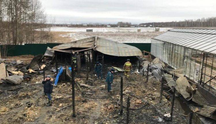 В МЧС рассказали о гражданстве погибших при пожаре в Подмосковье