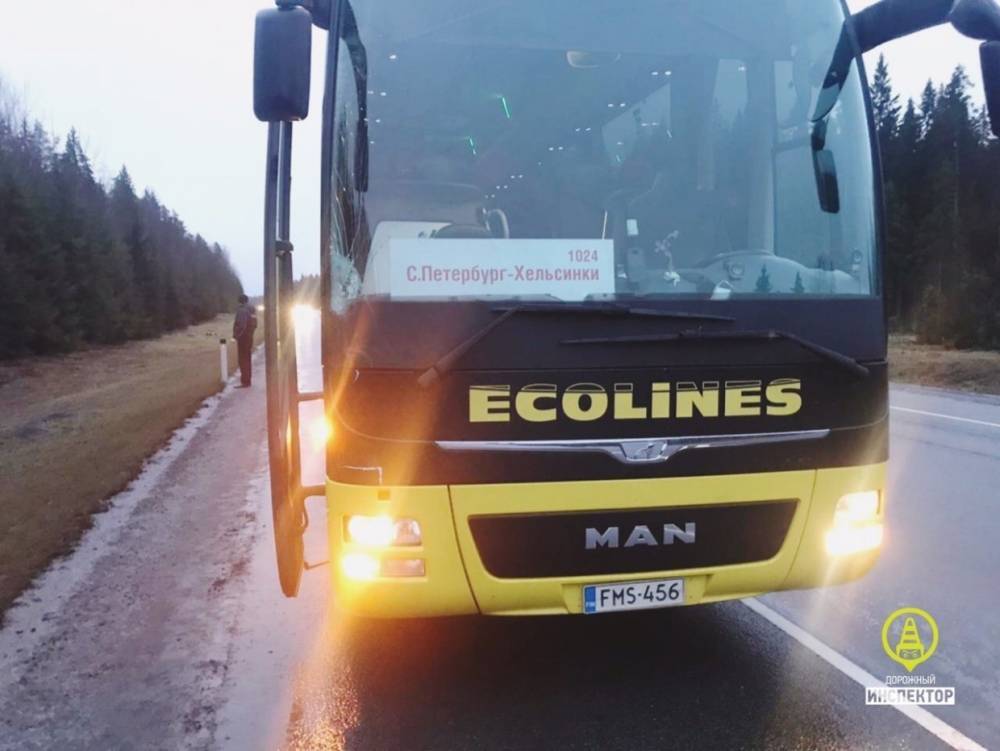Водитель автобуса после сбитого пешехода на «Скандинавии» стал фигурантом «уголовки»