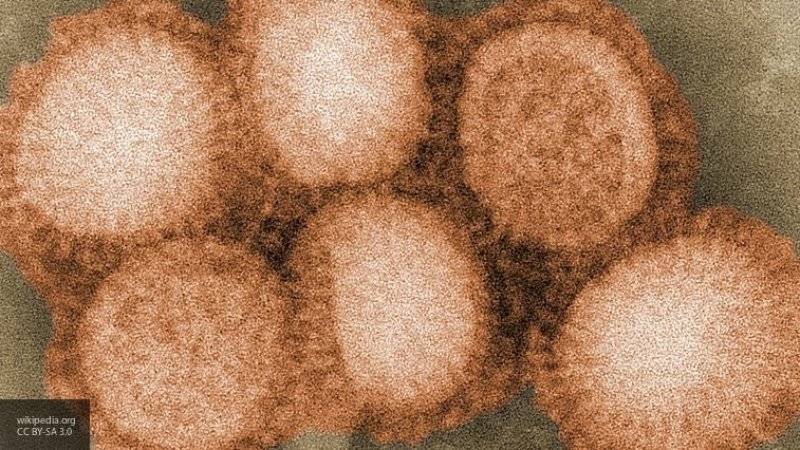 Роспотребнадзор предупредил о вспышке птичьего гриппа в Польше