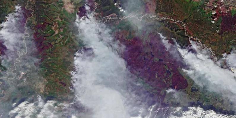 Рослесхоз уличили в занижении данных о лесных пожарах в 57 раз
