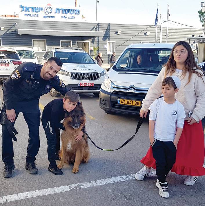 Через год после исчезновения: пес Зорро вернулся в израильскую семью