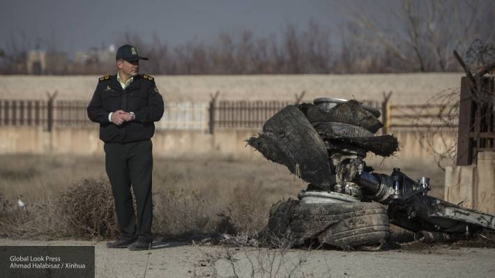 Мерзкими мемами поглумились навальнисты над катастрофой украинского Boeing-737 в Иране