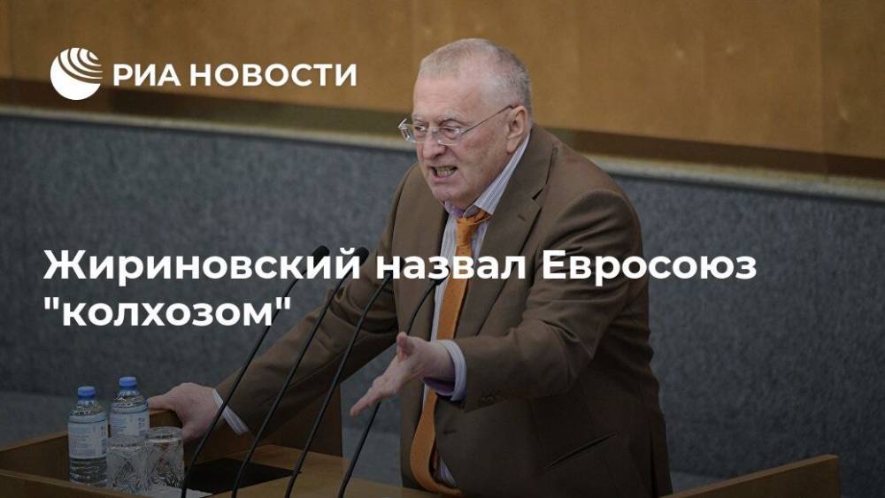 Жириновский назвал Евросоюз "колхозом"