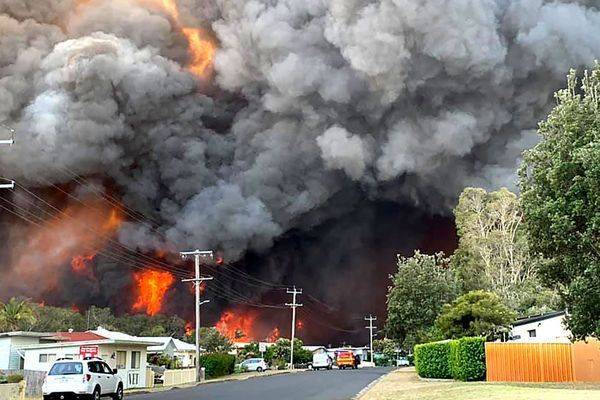 Более 1 млрд животных погибли в Австралии из-за пожаров