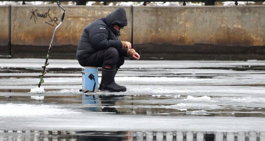 Москвичам напомнили о правилах безопасности на замерзших прудах