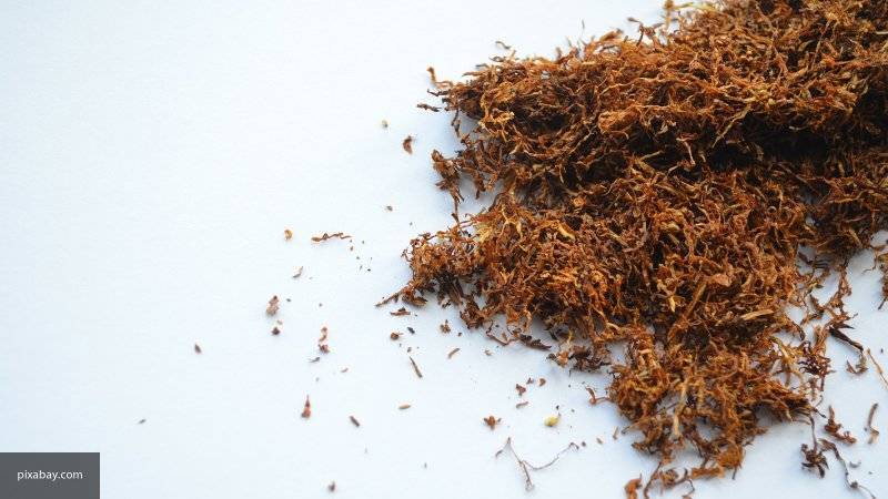 ГОСТ для жевательного табака вступил в силу с 1 января в России