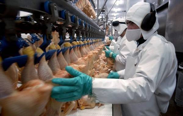 Польской курятине закрыли доступ на армянский рынок