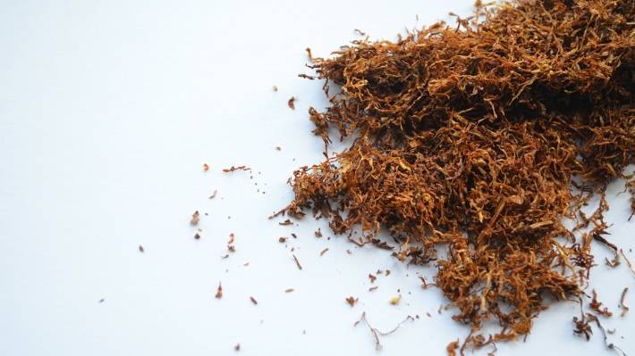 Новый ГОСТ на жевательный табак вступил в силу в РФ
