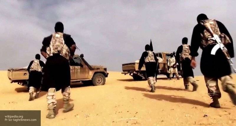 Массовое бегство боевиков из Ливии грозит новыми терактами всему северу Африки — Рожин