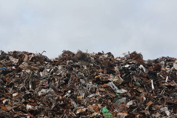 Стало известно, что мусорная реформа в Ленобласти изменит в 2020 году