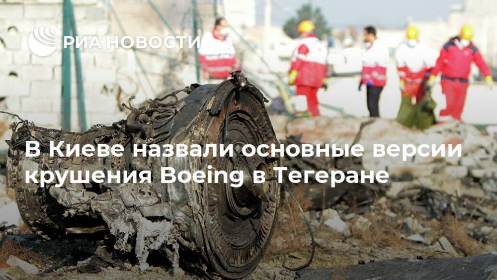 В Киеве назвали основные версии крушения Boeing в Тегеране