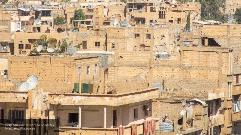 Ионов отметил значимость открытия пропускного пункта "Сальхиях" в Сирии для мирных жителей