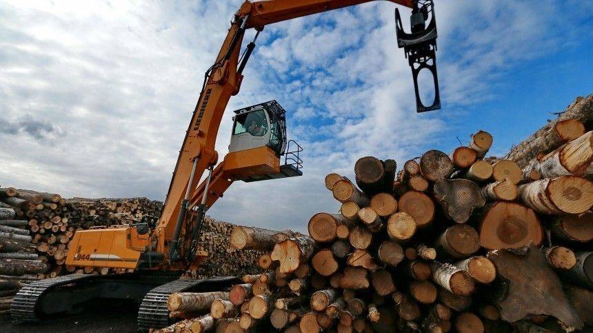 В России запретят экспорт необработанной древесины