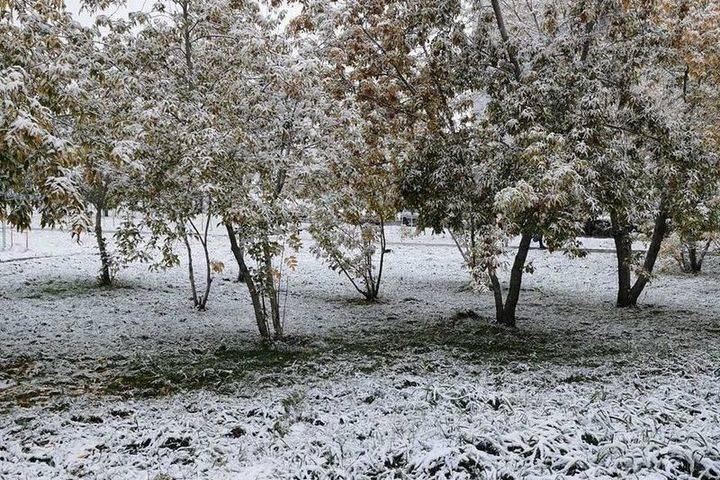 Показываем фото первого снега в Красноярске